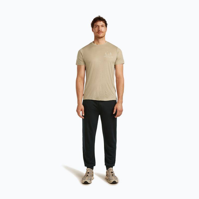Футболка чоловіча icebreaker Merino 150 Tech Lite Peaceful Pass Tee flagstone 2