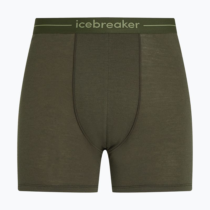 Труси термічні чоловічі icebreaker Anatomica dark loden