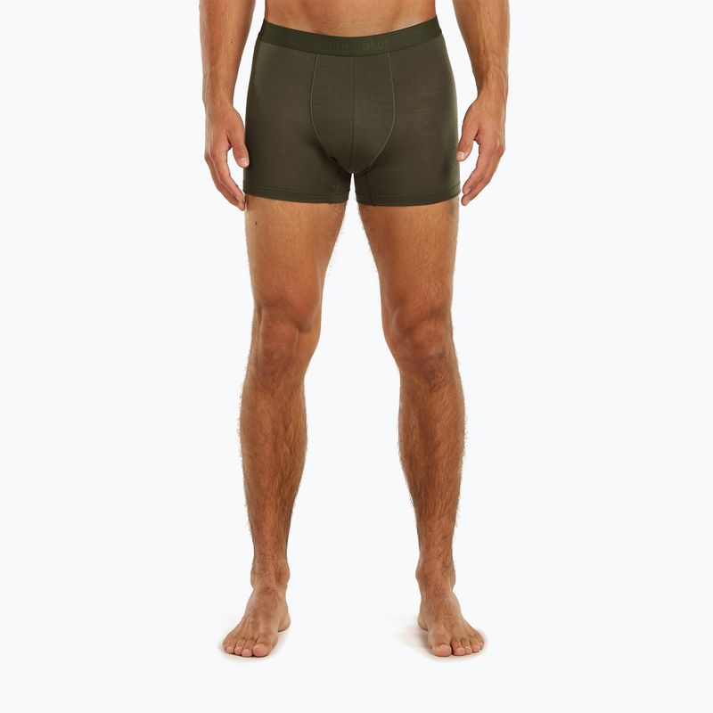 Труси термічні чоловічі Icebreaker Merino 125 Cool-Lite Anatomica dark loden 2