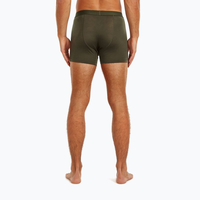 Труси термічні чоловічі Icebreaker Merino 125 Cool-Lite Anatomica dark loden 4