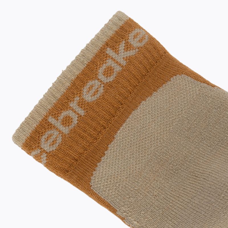 Шкарпетки чоловічі Icebreaker Merino Hike+ Light Mini trail/flagstone 3