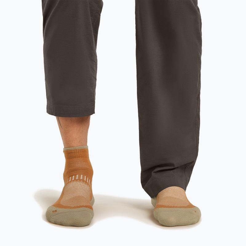 Шкарпетки чоловічі Icebreaker Merino Hike+ Light Mini trail/flagstone 7