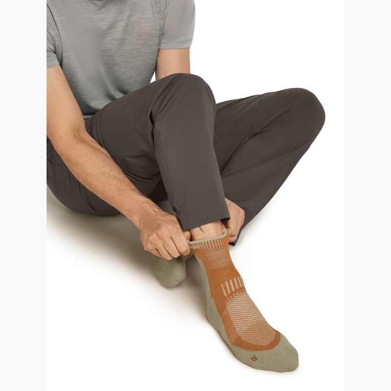 Шкарпетки чоловічі Icebreaker Merino Hike+ Light Mini trail/flagstone 8