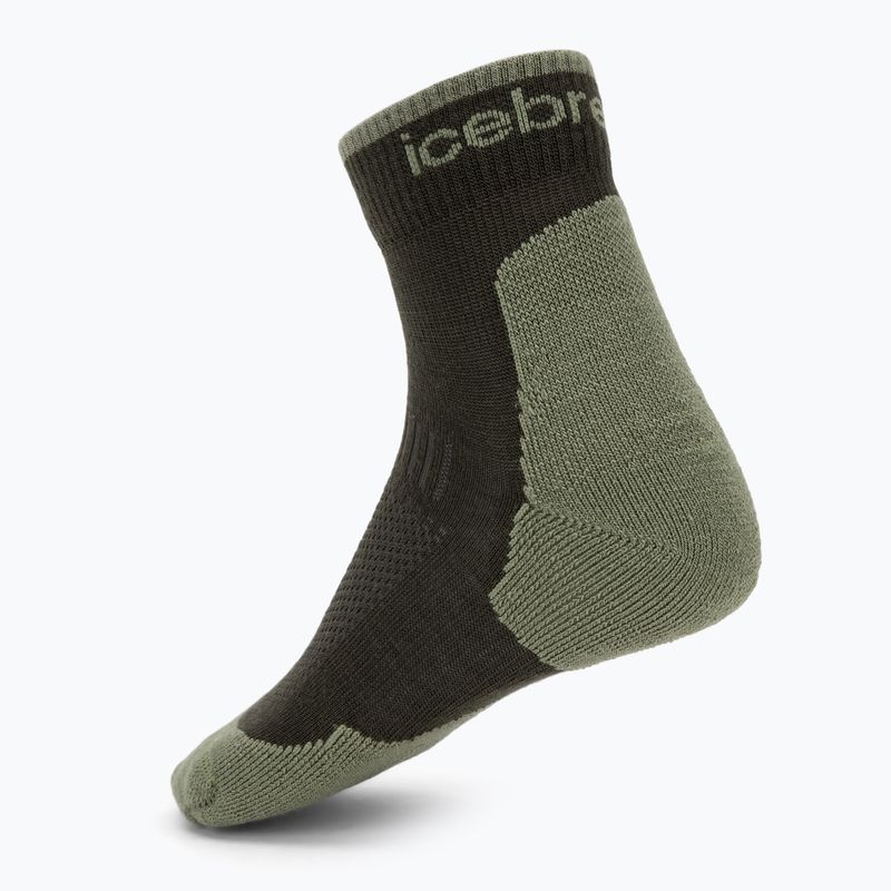 Шкарпетки чоловічі Icebreaker Merino Hike+ Light Mini dark loden/lichen 2