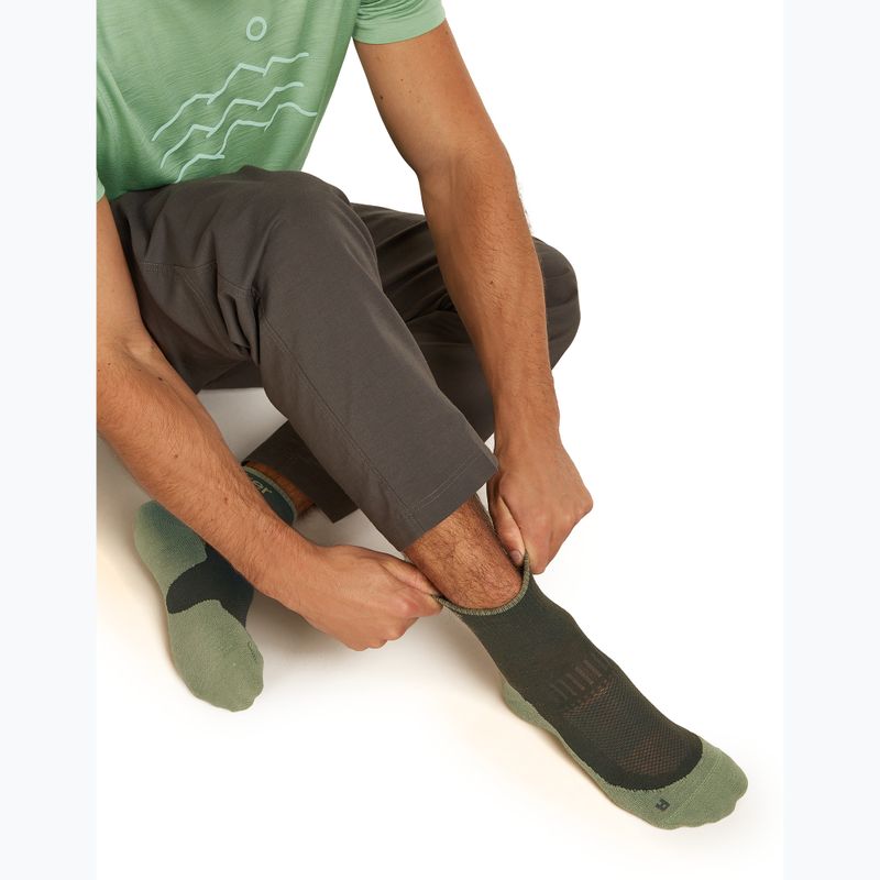 Шкарпетки чоловічі Icebreaker Merino Hike+ Light Mini dark loden/lichen 8