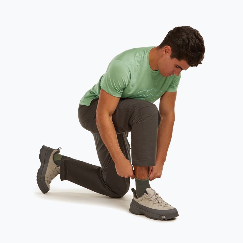 Шкарпетки чоловічі Icebreaker Merino Hike+ Light Mini dark loden/lichen 9