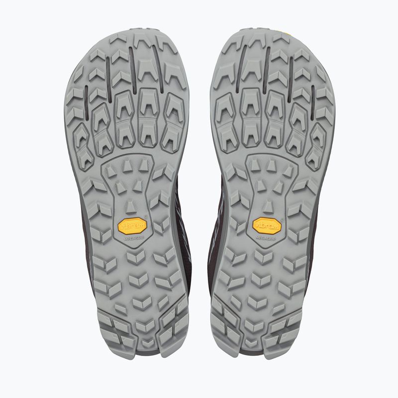 Кросівки для бігу чоловічі Altra Lone Peak 9+ chocolate torte/silver 4