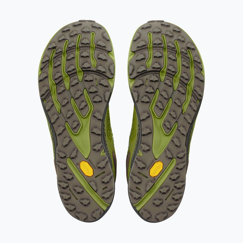 Кросівки для бігу чоловічі Altra Timp 6 GTX Iguana/Silver 4
