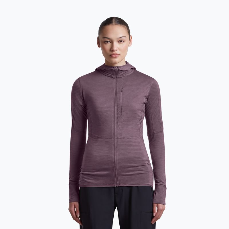 Кофта трекінгова жіноча Icebreaker Merino 200 Realfleece Descender Half Zip Hoodie grey plum