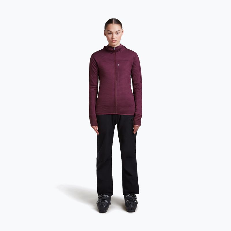 Кофта трекінгова жіноча Icebreaker Merino 300 Realfleece Descender Zip Hoodie dark berry 2