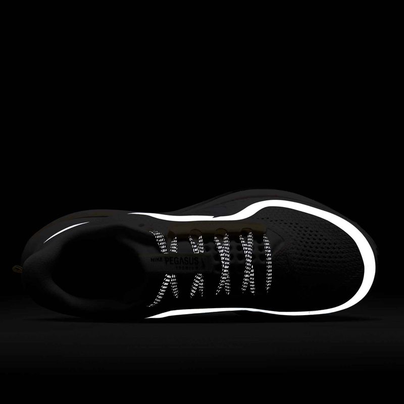 Кросівки для бігу жіночі Nike Pegasus Premium sail/alabaster/anthracite/white 10