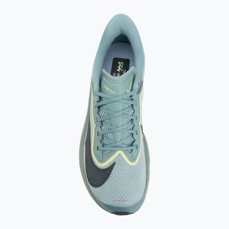 Кросівки для бігу чоловічі Nike Zoom Fly 6 cannon/light silver/cobalt bliss/seaweed 5