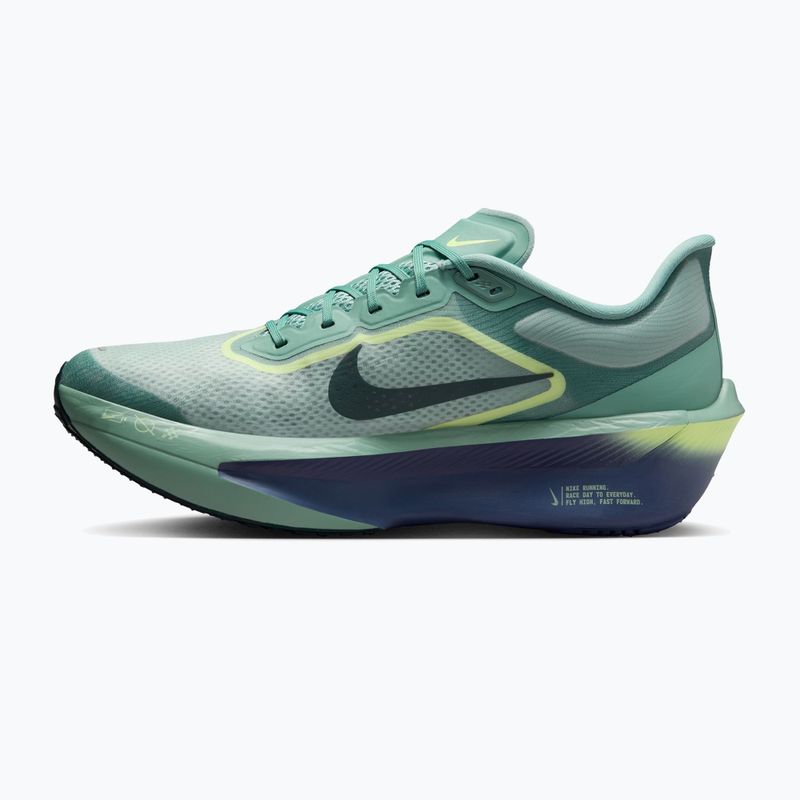 Кросівки для бігу чоловічі Nike Zoom Fly 6 cannon/light silver/cobalt bliss/seaweed 2