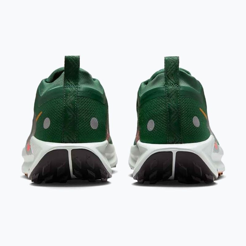 Кросівки для бігу чоловічі Nike Pegasus Trail 5 GORE-TEX fir/bright crimson/clay green 6