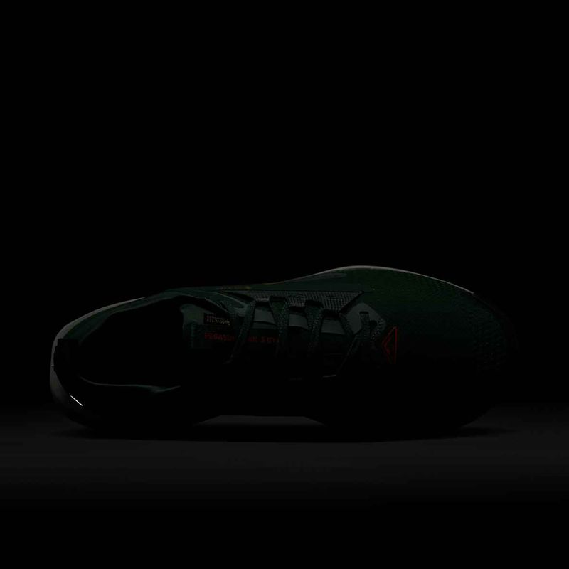 Кросівки для бігу чоловічі Nike Pegasus Trail 5 GORE-TEX fir/bright crimson/clay green 10