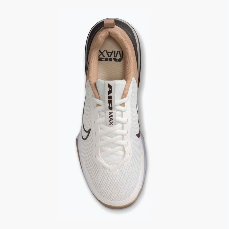 Кросівки для тренувань чоловічі Nike Air Max Alpha Trainer 6 sail/baroque brown/hemp/desert dust 6