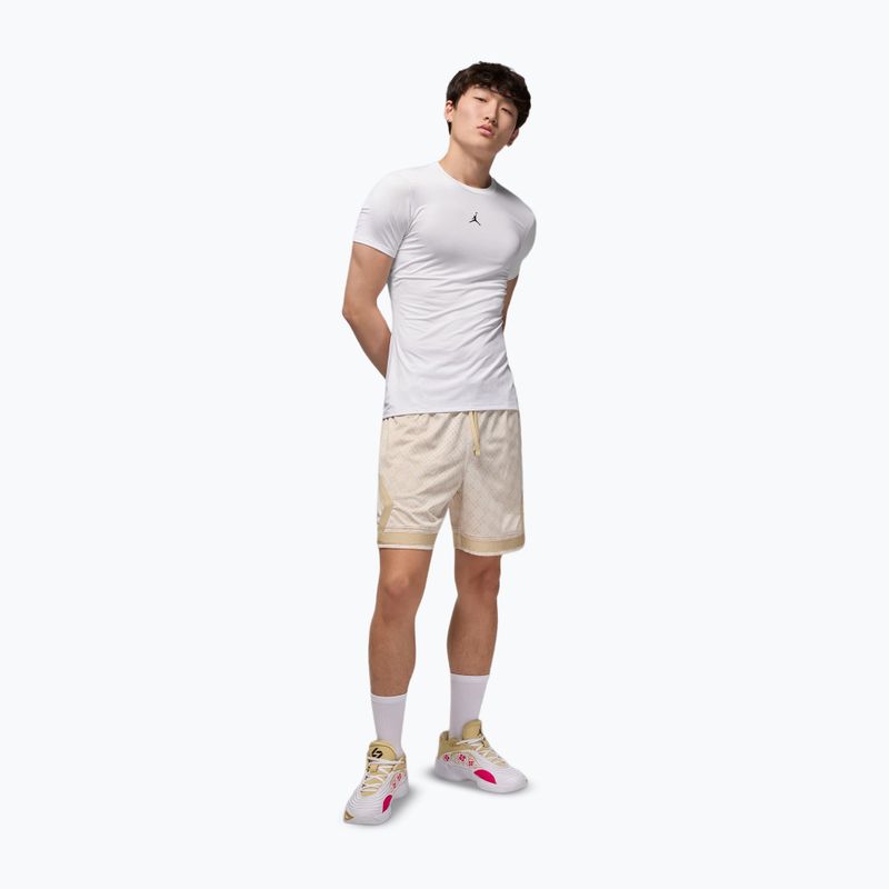 Футболка термічна чоловіча Jordan Sport white/black 2