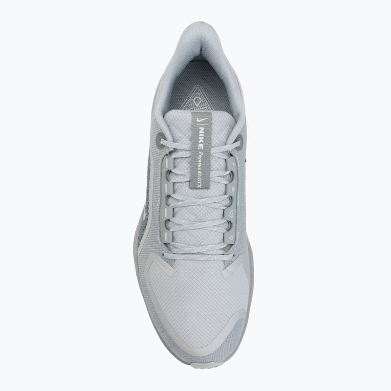 Кросівки для бігу чоловічі Nike Pegasus 41 GTX light pumice/pure platinum/silt red/metal silver 5