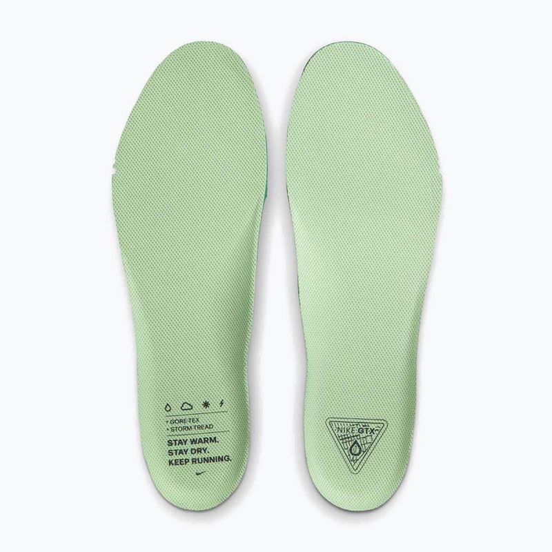 Чоловічі бігові кросівки Nike Pegasus 41 GTX cannon/obsidian/seaweed/volt 11