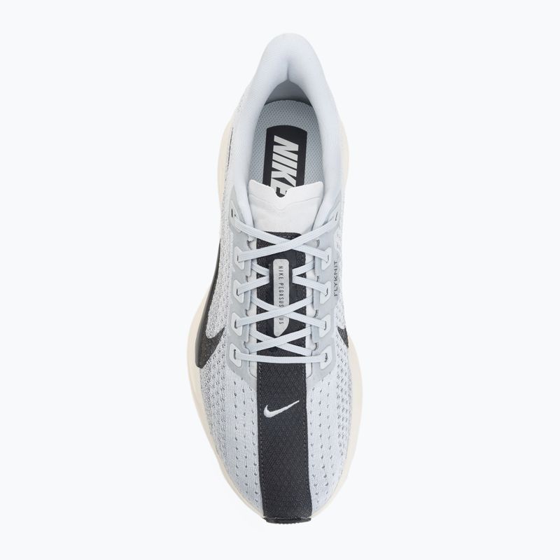 Кросівки для бігу чоловічі Nike Pegasus Plus pure platinum/wolf grey/sail/anthracite 5