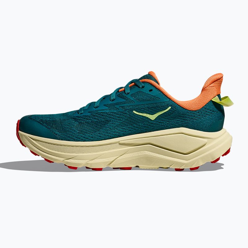 Кросівки для бігу жіночі HOKA Challenger 8 tidal wave/pampas grass 4