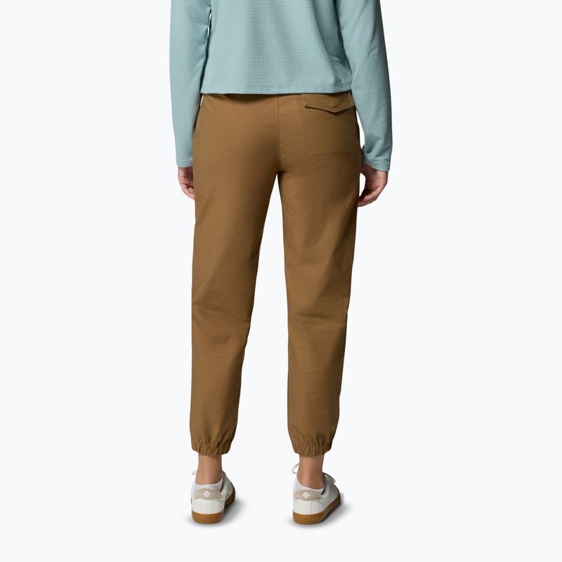 Чоловічі трекінгові штани Columbia ROC Ripstop Jogger delta 3