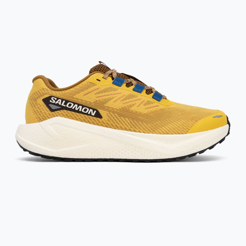 Кросівки для бігу чоловічі Salomon Aero Blaze 3 GRVL spicy mustard/vanilla ice/nautical blue 2