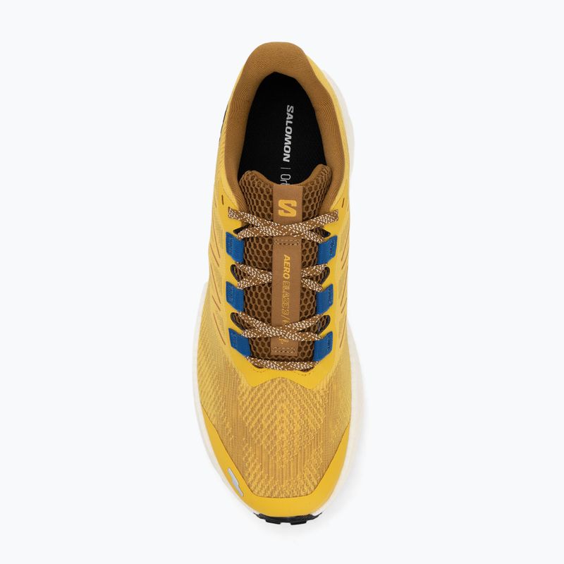 Кросівки для бігу чоловічі Salomon Aero Blaze 3 GRVL spicy mustard/vanilla ice/nautical blue 5