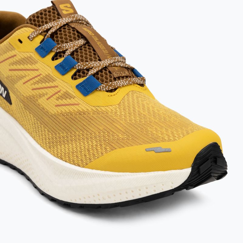 Кросівки для бігу чоловічі Salomon Aero Blaze 3 GRVL spicy mustard/vanilla ice/nautical blue 7