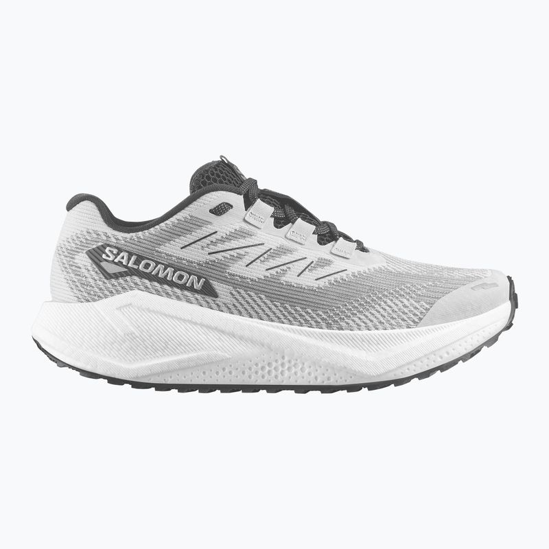 Кросівки для бігу чоловічі Salomon Aero Blaze 3 Gravel lunar rock/white/black 9