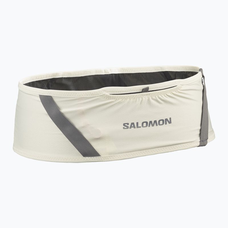 Пояс для бігу Salomon Pulse icicle / castlerock 2