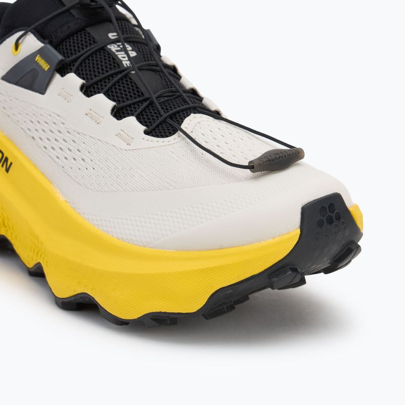 Кросівки для бігу чоловічі Salomon Ultra Glide 3 almond milk/incaberry/black 7