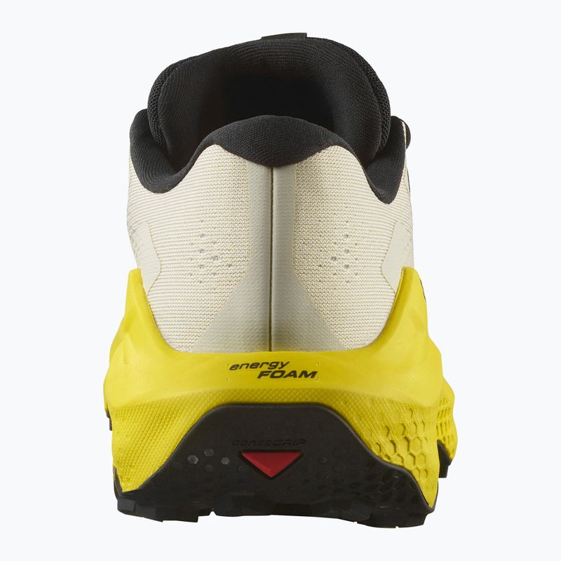 Кросівки для бігу чоловічі Salomon Ultra Glide 3 almond milk/incaberry/black 11