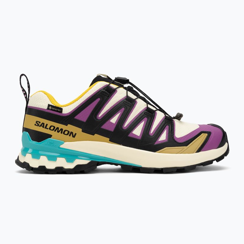 Кросівки для бігу чоловічі Salomon XA PRO 3D V9 GTX transparent yellow/black/waterfall 2