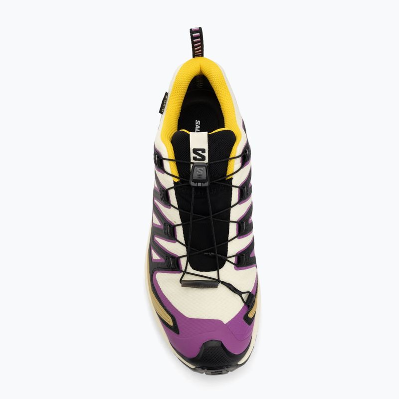 Кросівки для бігу чоловічі Salomon XA PRO 3D V9 GTX transparent yellow/black/waterfall 5