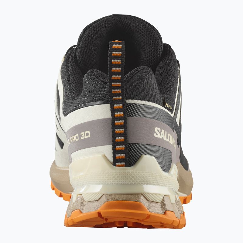 Кросівки для бігу чоловічі Salomon XA PRO 3D V9 GTX black/vanilla ice/turmeric 10
