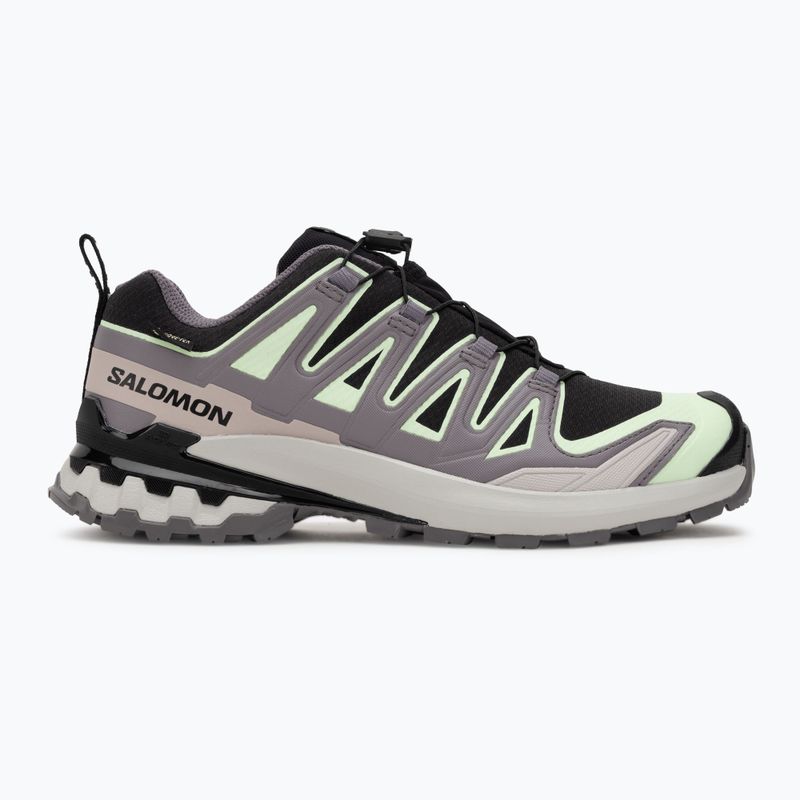 Кросівки для бігу жіночі Salomon XA PRO 3D V9 GTX black/patina green/gray violet 2