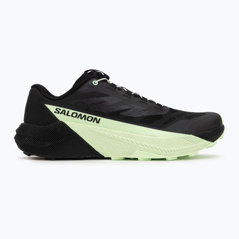 Кросівки для бігу чоловічі Salomon Pulsar black/black/patina green 2