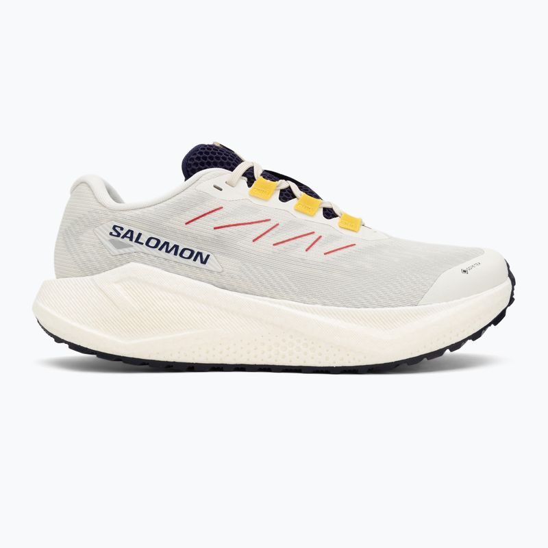 Кросівки для бігу чоловічі Salomon Aero Blaze 3 Gravel GTX vanilla ice/astral aura/lemon 2