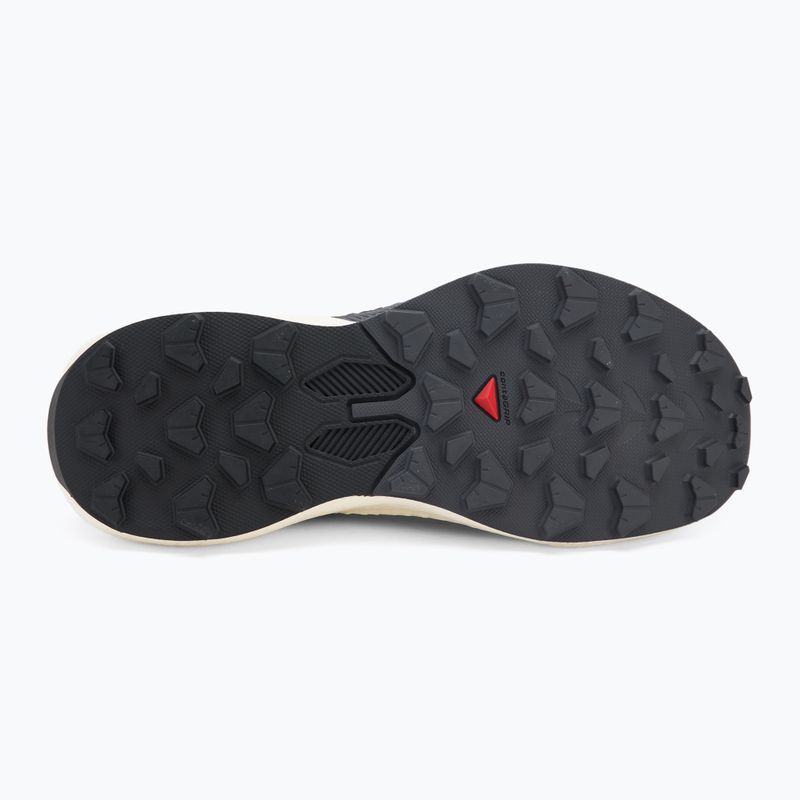 Кросівки для бігу жіночі Salomon Pulsar excalibur/vanilla ice/nine iron 4