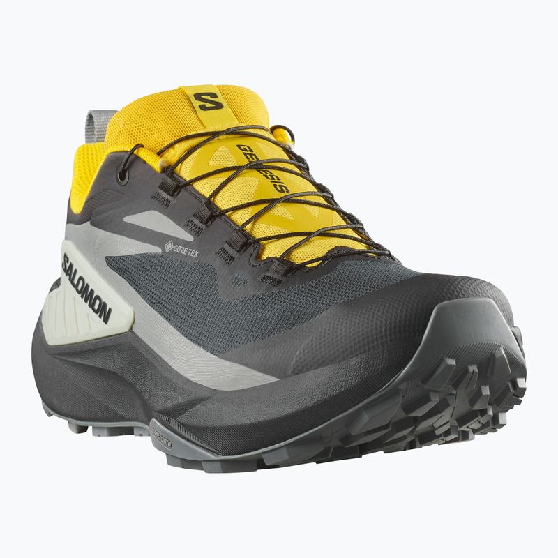 Кросівки для бігу чоловічі Salomon Genesis GTX black/sedona sage/incaberry 8