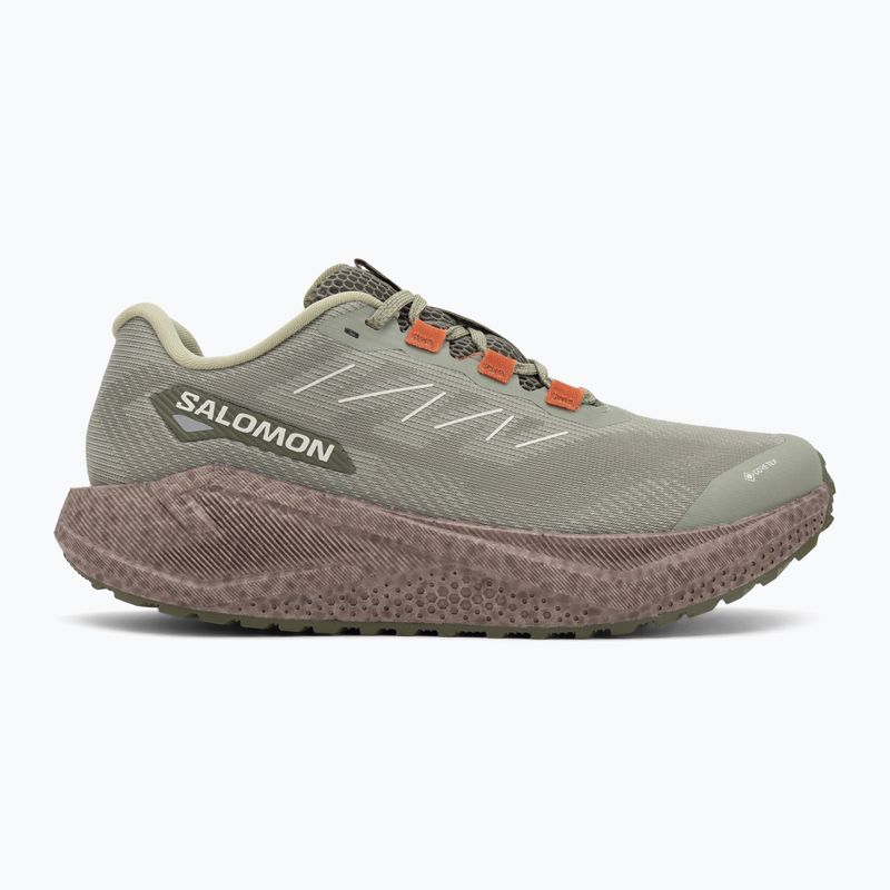 Кросівки для бігу чоловічі Salomon Aero Blaze 3 Gravel GTX tea/iron/burnt ochre 2