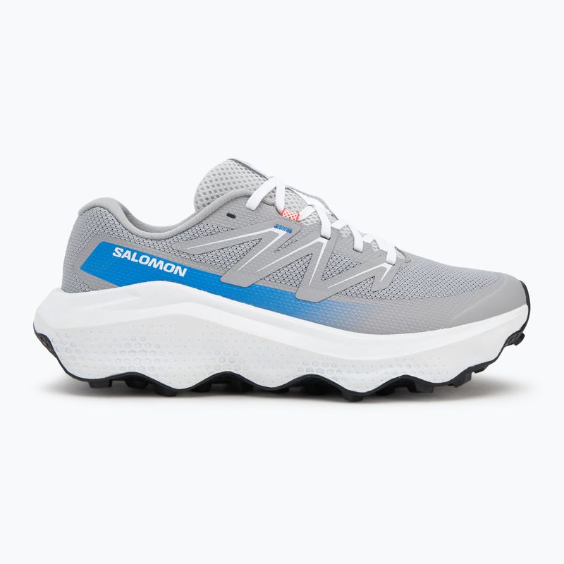 Кросівки для бігу чоловічі Salomon Ultra Flow 2 alloy/white/french blue 2