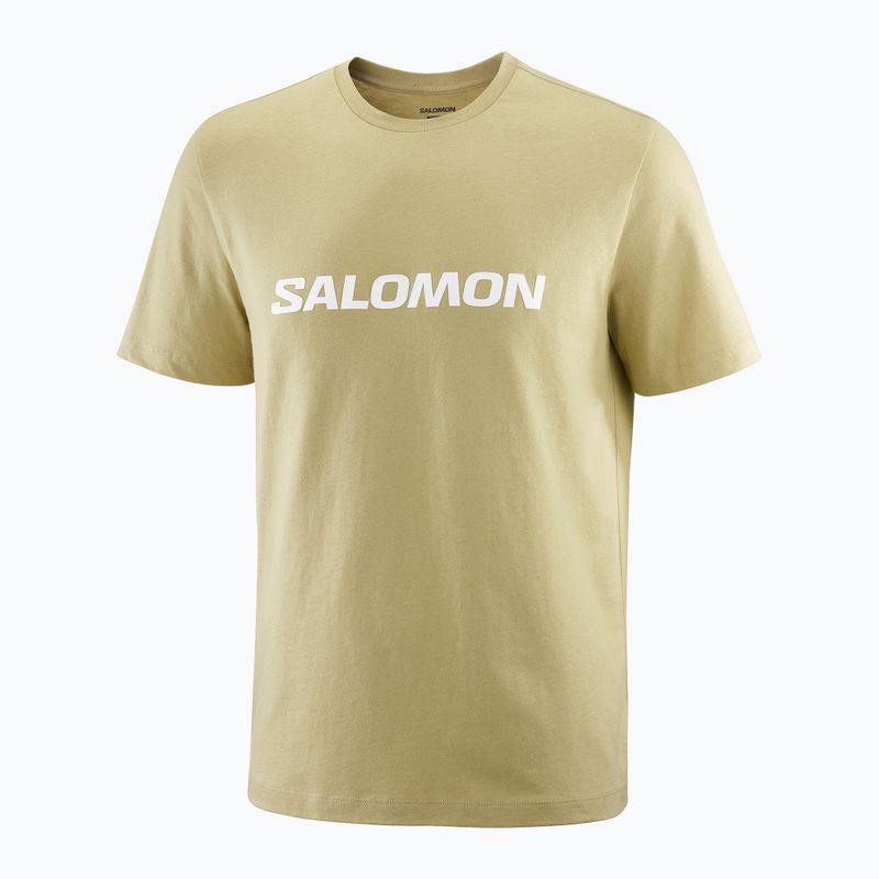 Футболка чоловіча Salomon Logo gray green 3