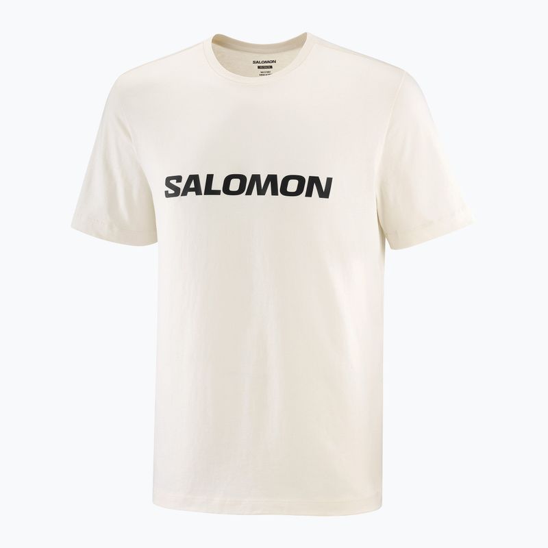 Футболка чоловіча Salomon Logo whisper white 3