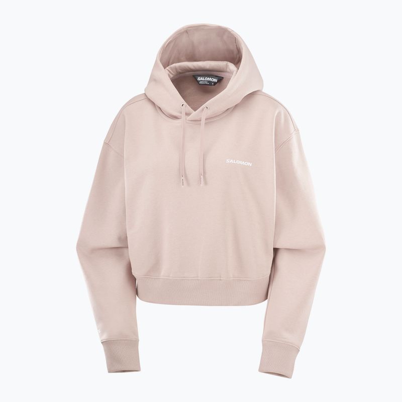 Кофта трекінгова жіноча Salomon Short Hoodie etherea