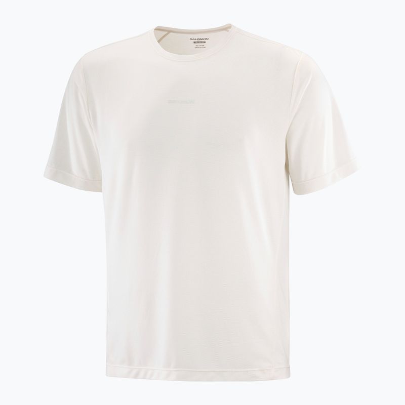 Футболка чоловіча Salomon Shakeout Core  whisper white 3