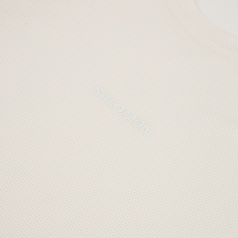 Лонгслів для бігу чоловічий Salomon Shakeout Core whisper white 3