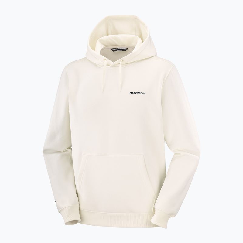 Кофта чоловіча Salomon Chest Logo Hoodie whisper white 5