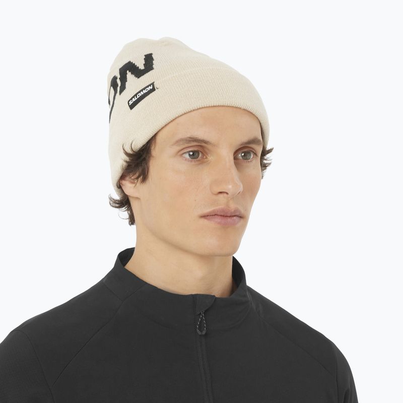 Шапка зимова Salomon Hermitage whisper white 2